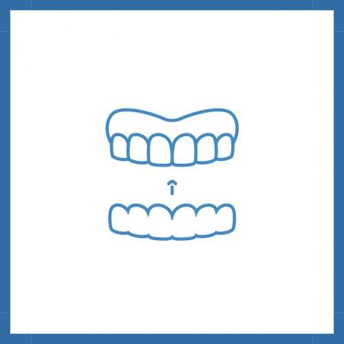 Ortho & Splints