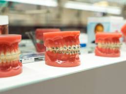 plastic-tooth-model-for-oral-health-care